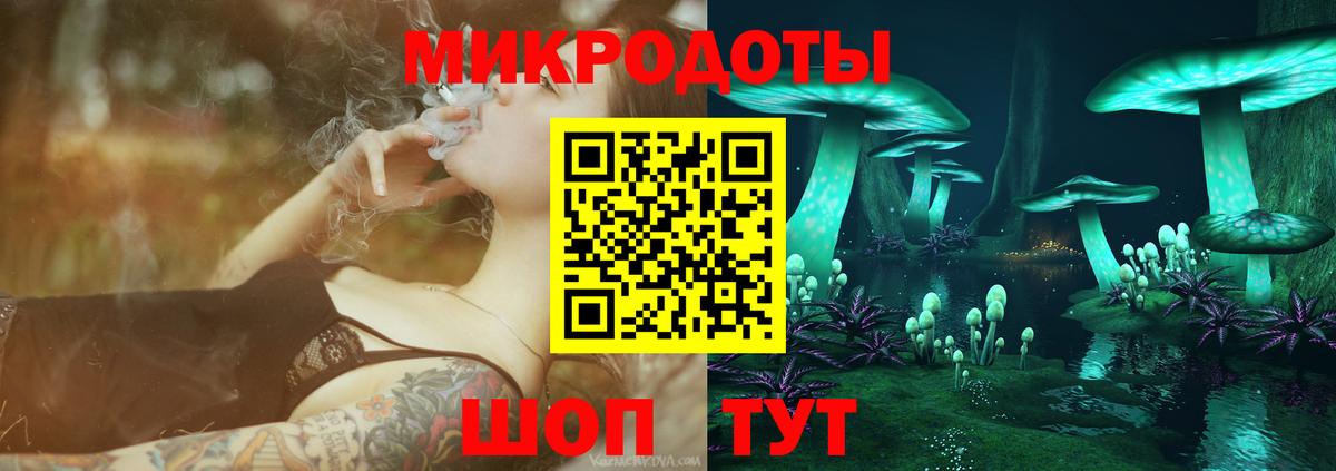 Псилоцибиновые грибы Psilocybe  Псилоцибиновые грибы прущие грибы  Вход с VPN  Горно-Алтайск 